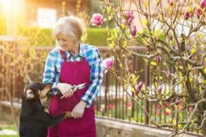 woman with dog biting - dog bite laws in Arizona